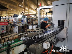 華興玻璃 快而好 的質造之道