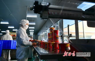 渭源 打工就在家門口