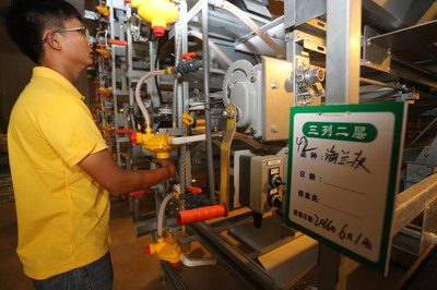 廣東綠楊農(nóng)業(yè)1000萬羽蛋雞自動化養(yǎng)殖場投產(chǎn)