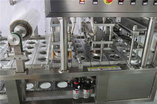 成型袋灌裝封口機的特點 廣州利華包裝設備