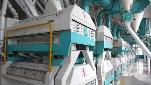 燕趙開新局 自動化設備驅動產業升級